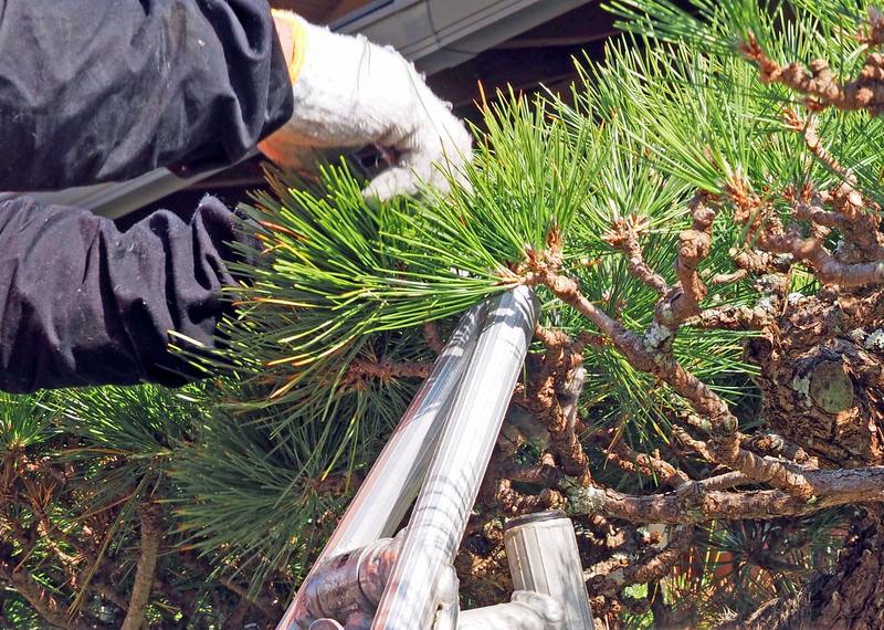 庭や亨の施工写真4｜埼玉県鴻巣市で剪定・除草・伐採・作庭