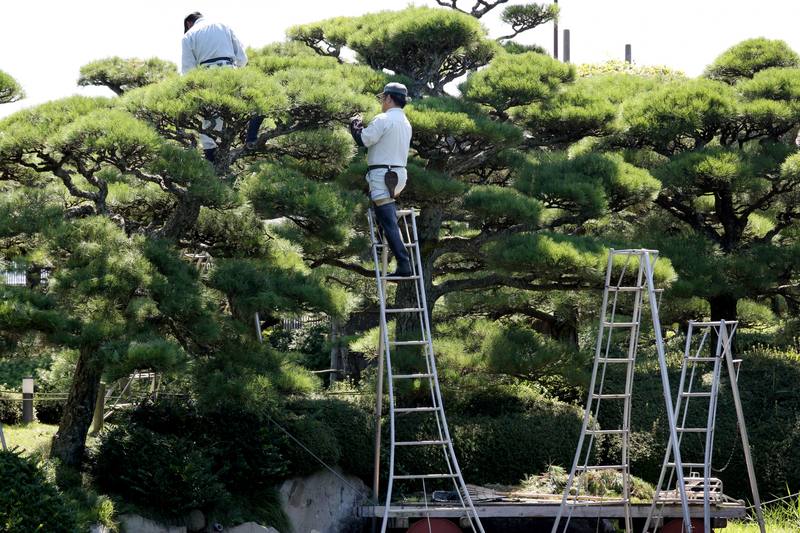 庭や亨の施工写真20｜埼玉県鴻巣市の庭仕事