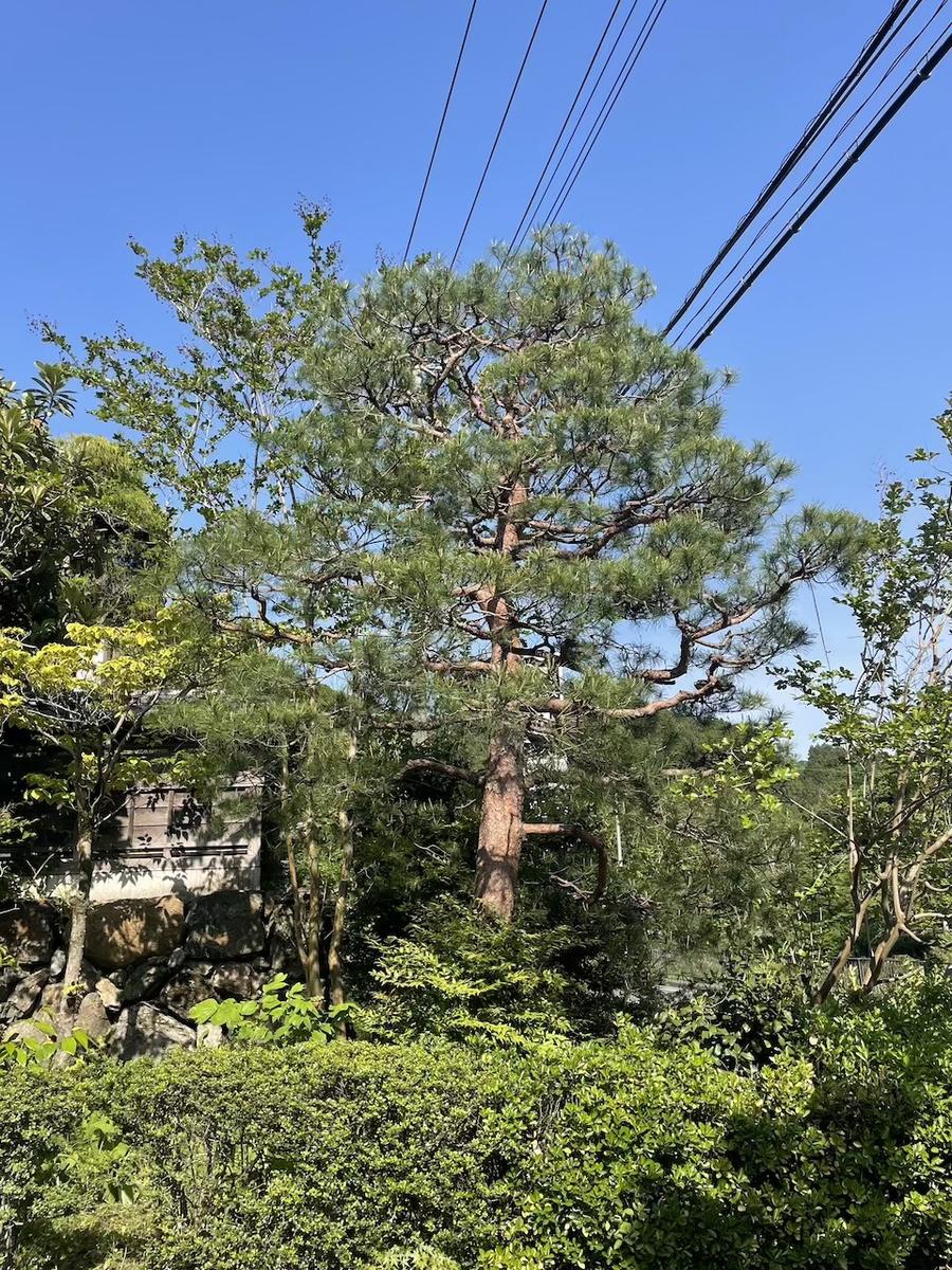 剪定｜埼玉県鴻巣市の庭師 庭や亨